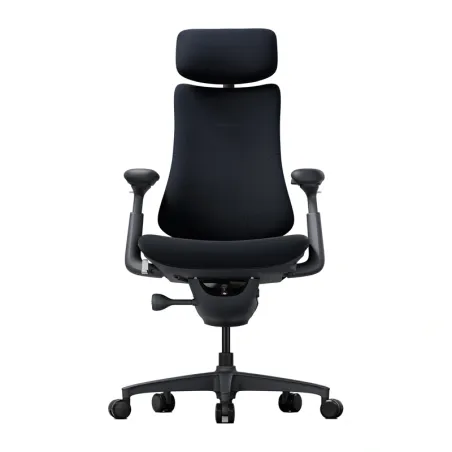 LiberNovo Omni 48 cm Ergonomic Chair (Black)